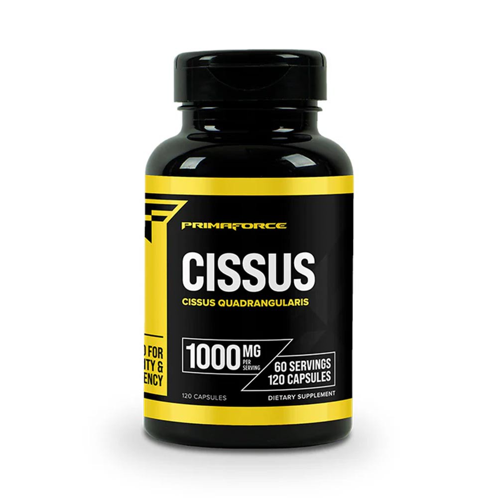 Cissus