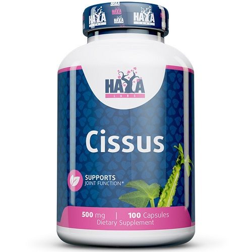 Cissus Haya Labs 100caps